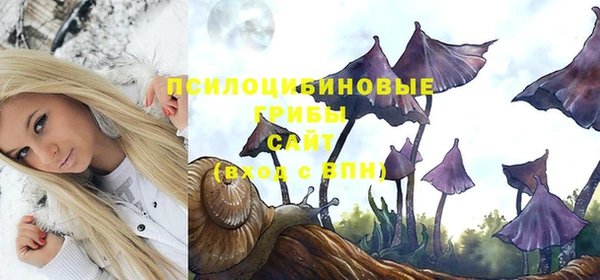 кристаллы Белокуриха